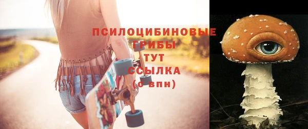 Альфа ПВП Беломорск