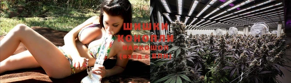 Альфа ПВП Беломорск
