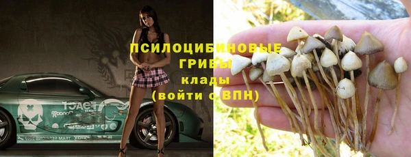 Альфа ПВП Беломорск