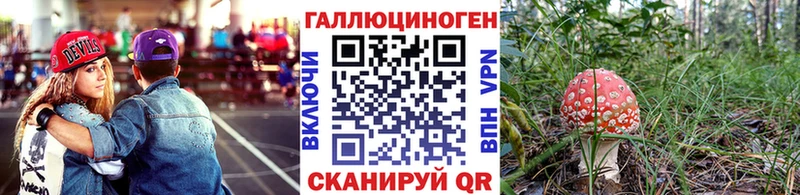Псилоцибиновые грибы Psilocybe Купино