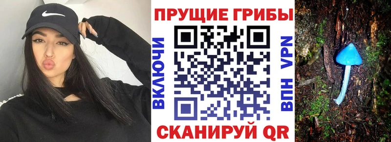 гидра вход  Купино  Псилоцибиновые грибы MAGIC MUSHROOMS 